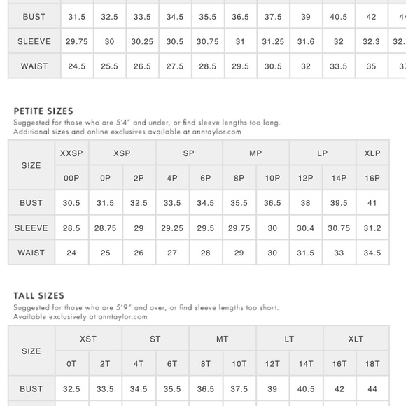 LOFT by Ann Taylor Blouse - Picture 6 of 6